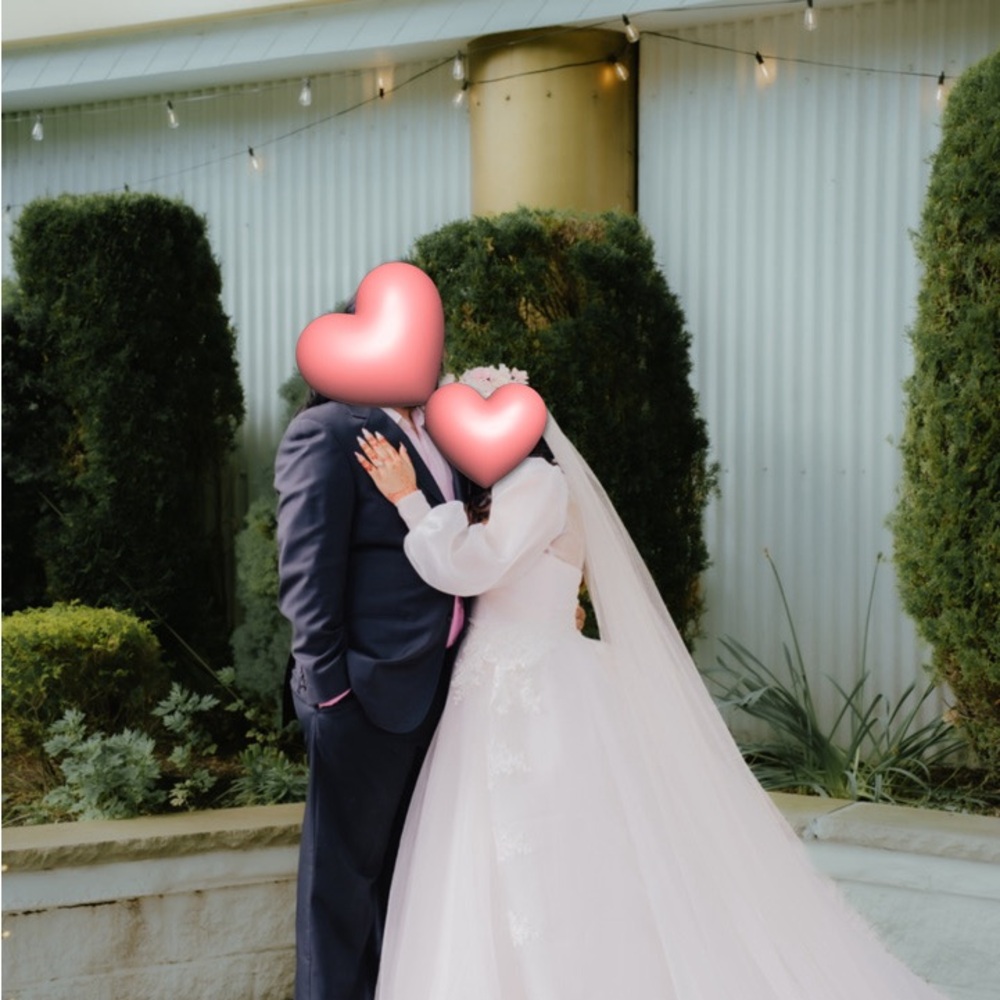 Whisper Pink Wedding Dress With Detachable skirt